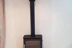 Chilli Penguin Woody