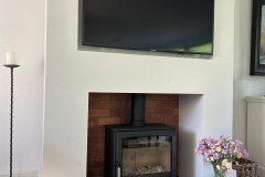 Parkway aspect 7 woodburning stove