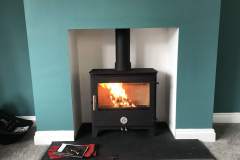 Chilli Penguin Woody